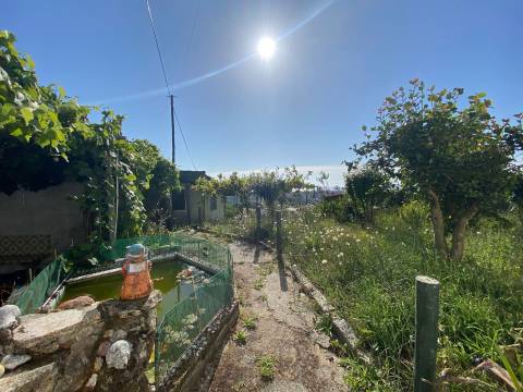 QUINTINHA EM CRISTELO - CAMINHA