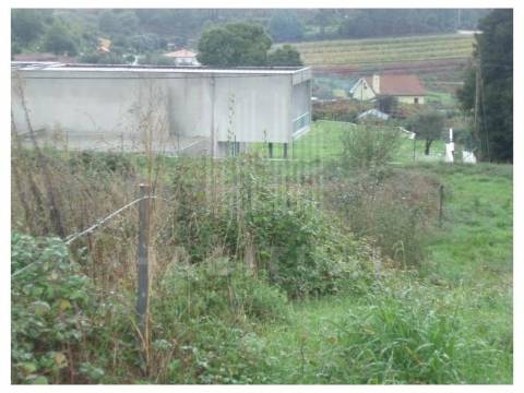 Terreno  em Brandara -Ponte de Lima  - 100%  FINANCIADO