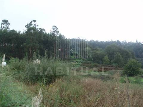 Terreno  em Brandara -Ponte de Lima  - 100%  FINANCIADO