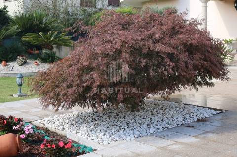 Moradia T5 em Balugães, Barcelos