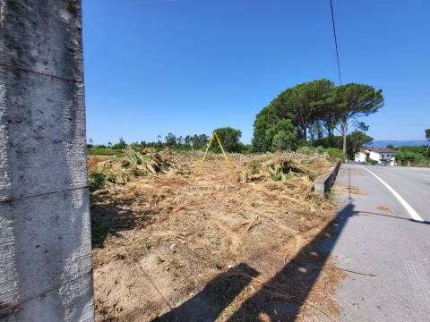 Terreno  Venda em Silgueiros,Viseu