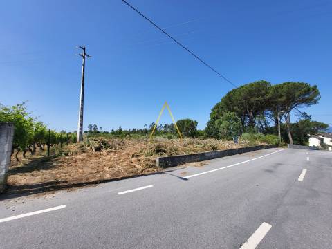 Terreno  Venda em Silgueiros,Viseu