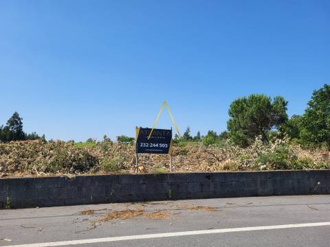Terreno  Venda em Silgueiros,Viseu