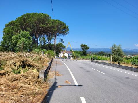 Terreno  Venda em Silgueiros,Viseu