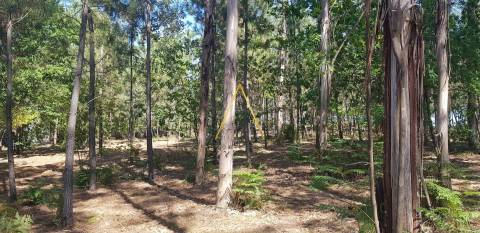 Terreno Para Construção  Venda em São Cipriano e Vil de Souto,Viseu