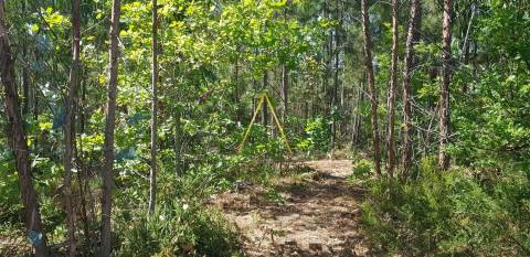 Terreno Para Construção  Venda em São Cipriano e Vil de Souto,Viseu