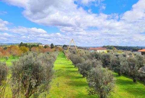 Moradia T2+2 Venda em Silgueiros,Viseu