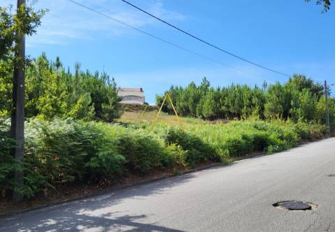 Lote de Terreno  Venda em Campo,Viseu