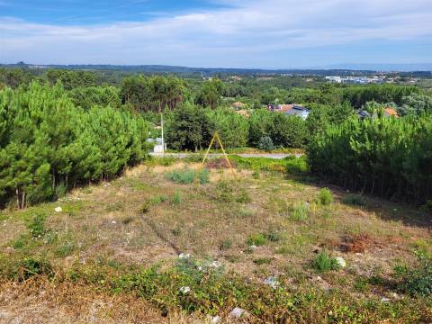 Lote de Terreno  Venda em Campo,Viseu