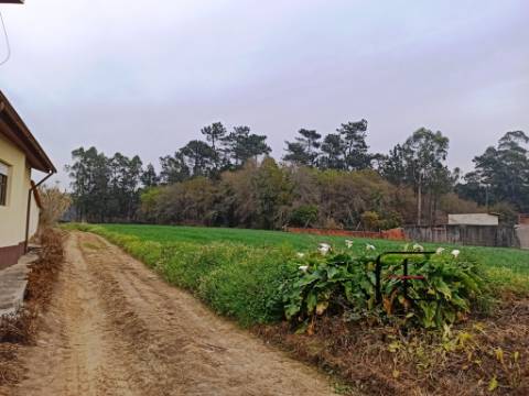 Terreno Rústico  Venda em Válega,Ovar