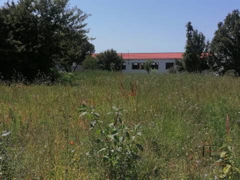Lote de Terreno  Venda em Custóias, Leça do Balio e Guifões,Matosinhos