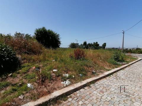 Lote de Terreno  Venda em Custóias, Leça do Balio e Guifões,Matosinhos