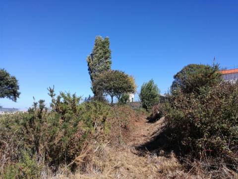 Lote de Terreno  Venda em Custóias, Leça do Balio e Guifões,Matosinhos