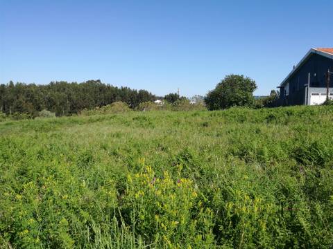 Lote de Terreno  Venda em Custóias, Leça do Balio e Guifões,Matosinhos