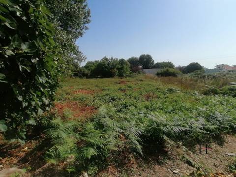 Moradia para Restaurar T4 Venda em Custóias, Leça do Balio e Guifões,Matosinhos