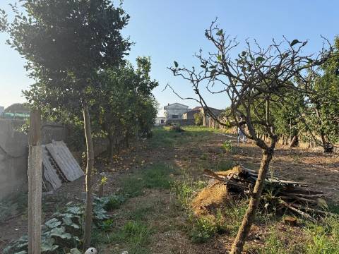 Prédio T3 Venda em Madalena,Vila Nova de Gaia