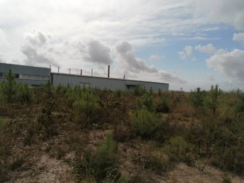 Lote Industrial  Venda em Fânzeres e São Pedro da Cova,Gondomar
