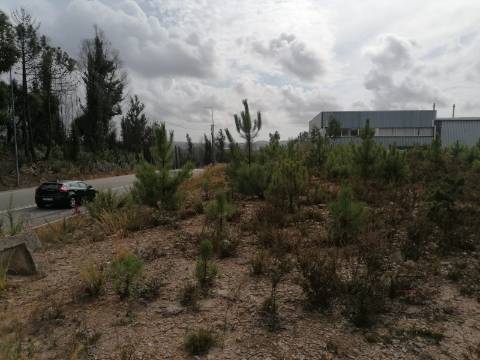 Lote Industrial  Venda em Fânzeres e São Pedro da Cova,Gondomar