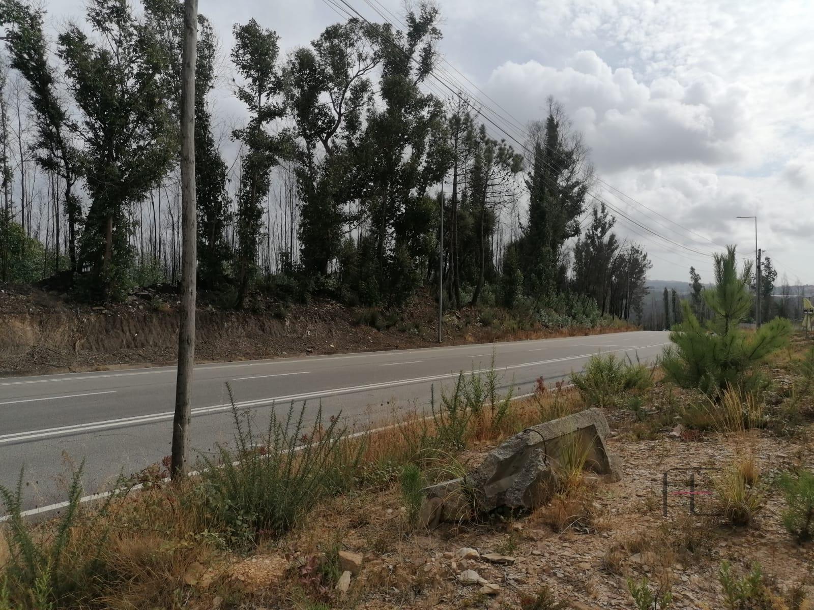 Lote Industrial  Venda em Fânzeres e São Pedro da Cova,Gondomar
