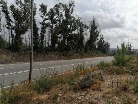 Lote Industrial  Venda em Fânzeres e São Pedro da Cova,Gondomar