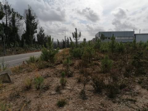 Lote Industrial  Venda em Fânzeres e São Pedro da Cova,Gondomar
