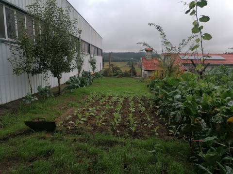 Armazém  Venda em Raimonda,Paços de Ferreira