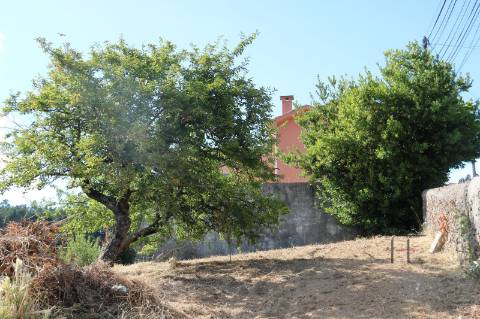 Terreno Rústico  Venda em Alfena,Valongo