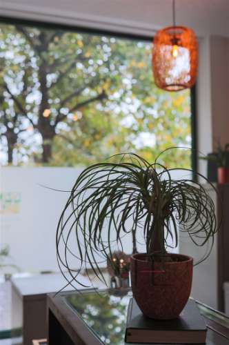 Café  Venda em Ramalde,Porto