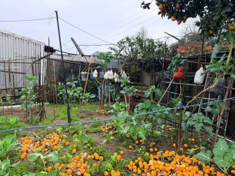 Moradia Geminada T3 Venda em Pedrouços,Maia