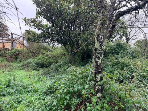 Moradia Geminada T3 Venda em Pedrouços,Maia