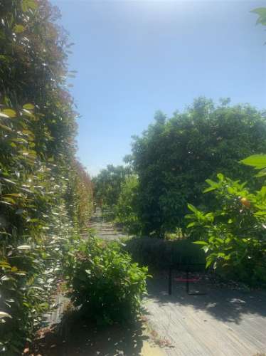 Moradia Isolada T2 Venda em Vila Nova da Telha,Maia