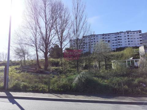 Terreno Rústico  Venda em Oliveira do Douro,Vila Nova de Gaia