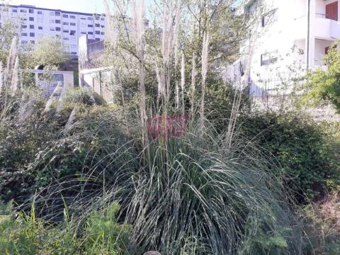 Terreno Rústico  Venda em Oliveira do Douro,Vila Nova de Gaia
