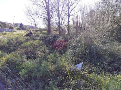 Terreno Rústico  Venda em Oliveira do Douro,Vila Nova de Gaia