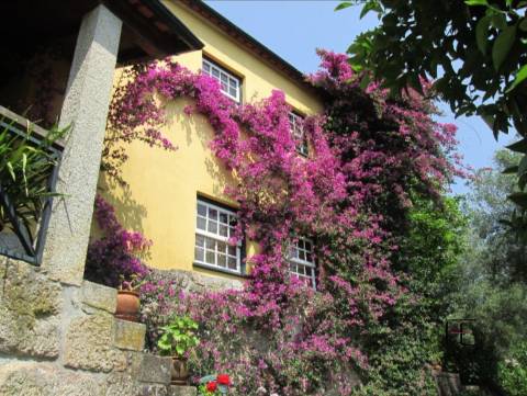 Quinta T4 Venda em Arca e Ponte de Lima,Ponte de Lima