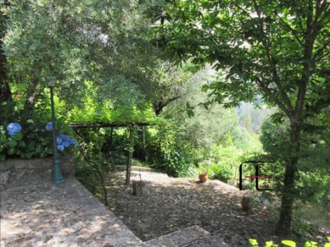 Quinta T4 Venda em Arca e Ponte de Lima,Ponte de Lima