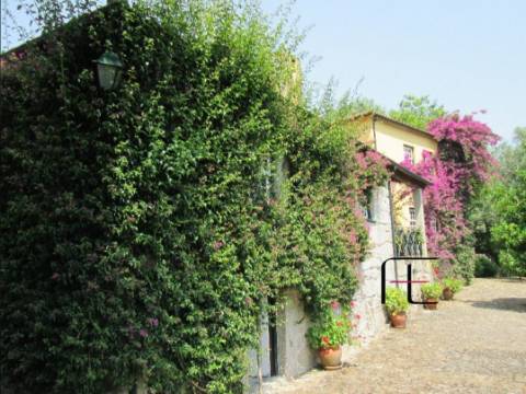 Quinta T4 Venda em Arca e Ponte de Lima,Ponte de Lima