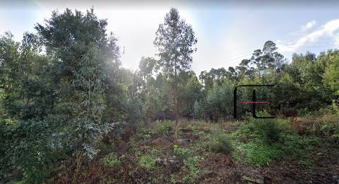 Terreno Rústico  Venda em Sandim, Olival, Lever e Crestuma,Vila Nova de Gaia
