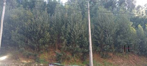 Terreno Urbano  Venda em Oliveira do Douro,Vila Nova de Gaia
