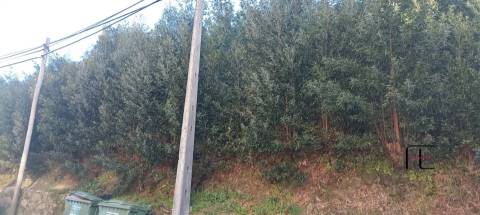 Terreno Urbano  Venda em Oliveira do Douro,Vila Nova de Gaia