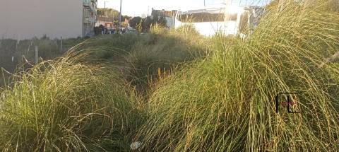 Terreno Urbano  Venda em Avintes,Vila Nova de Gaia