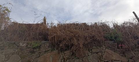 Terreno Urbano  Venda em Mafamude e Vilar do Paraíso,Vila Nova de Gaia