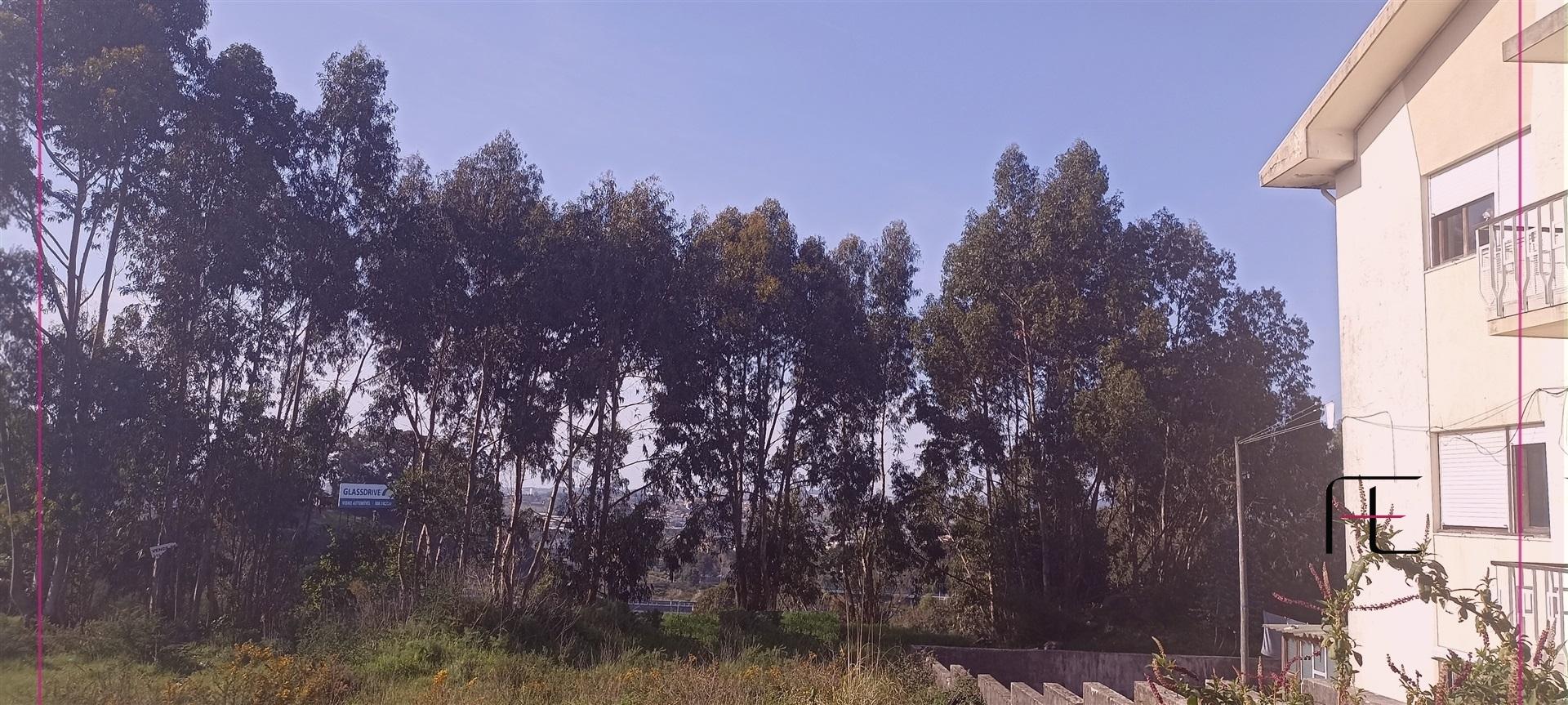 Lote de Terreno  Venda em Pedrouços,Maia