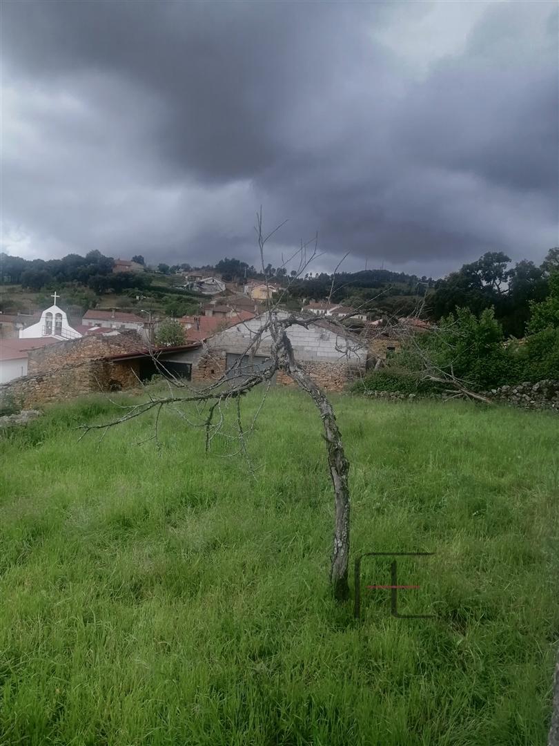 Moradia para Restaurar T3 Venda em Mogadouro, Valverde, Vale de Porco e Vilar de Rei,Mogadouro