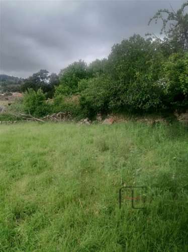 Moradia para Restaurar T3 Venda em Mogadouro, Valverde, Vale de Porco e Vilar de Rei,Mogadouro