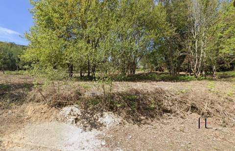 Lote de Terreno  Venda em Venade e Azevedo,Caminha