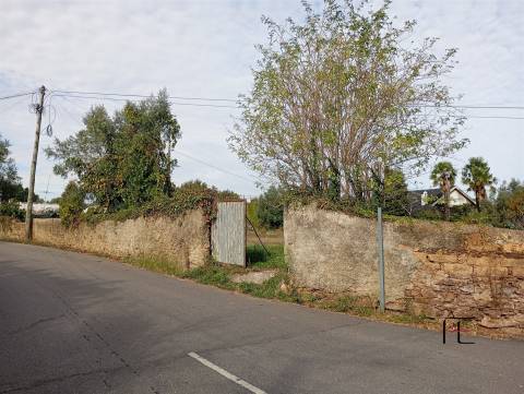 Terreno Rústico  Venda em Recardães e Espinhel,Águeda