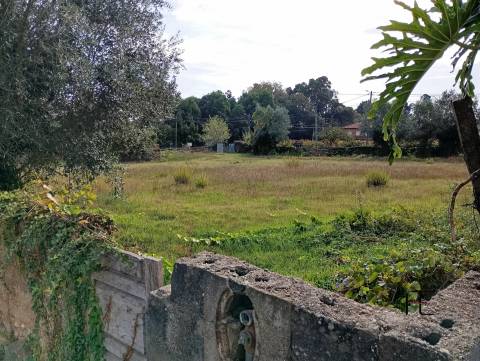 Terreno Rústico  Venda em Recardães e Espinhel,Águeda