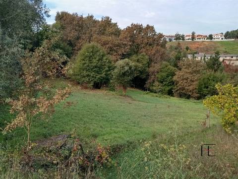 Terreno Rústico  Venda em Recardães e Espinhel,Águeda