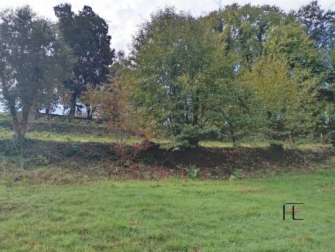 Terreno Rústico  Venda em Recardães e Espinhel,Águeda